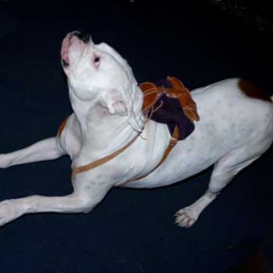 Avra with her back-pack