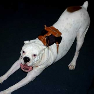 Hurry up there! i'm ready yet!