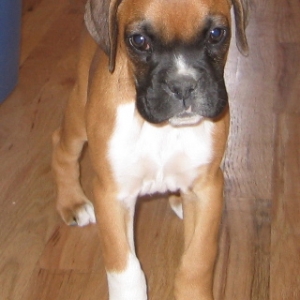 who me?