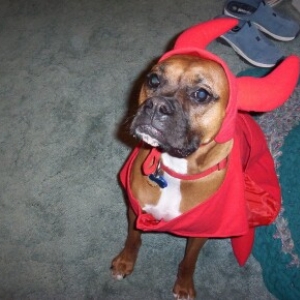 Halloween