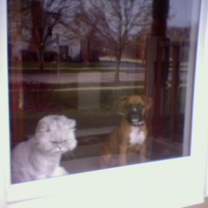 Please let us go and play outside :-)