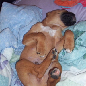 Sleeping Upside Down