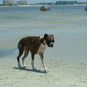 Just Another Beach Day