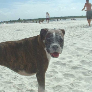Sand Face!