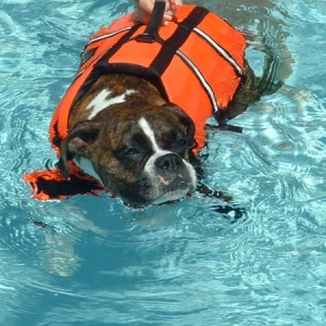 Swim Cyndal Swim