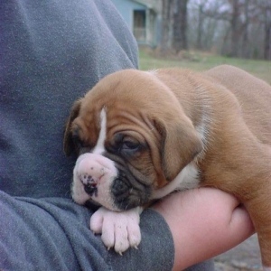 Gabriel at four weeks old