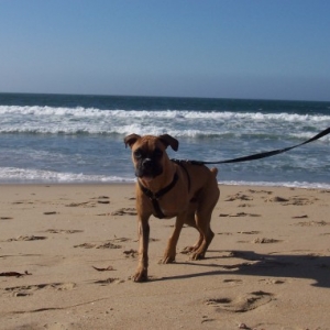 Beach Pic