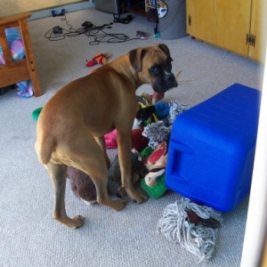Makin A Mess