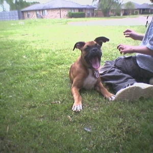 Layla17 weeks