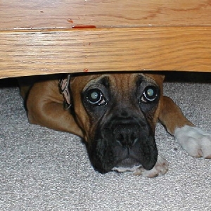 I didn't do anything!!