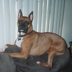 waiting for daddy