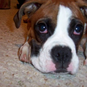 2 pooped 2 play
