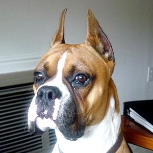 Waiting for Dad to come home