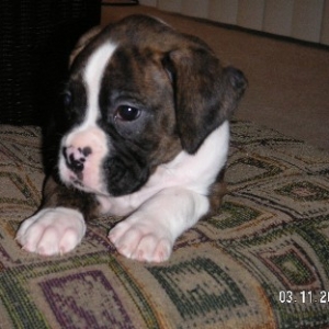 Baby picture