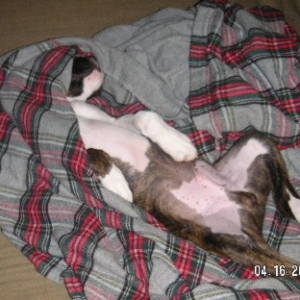 Sleeping beauty