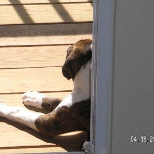 Enjoying the weather