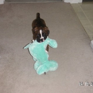Baby toy