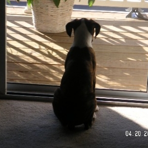 keeping_an_eye_out