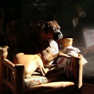 Hurry up Sun