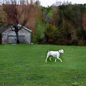 Avra walking proudly