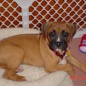 Ruby 8 weeks