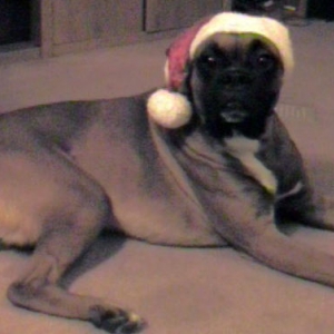Christmas
