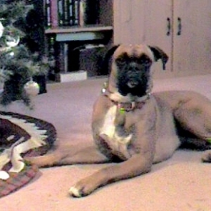 Sitting Pretty