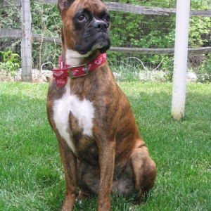 Enjoying the spring sun