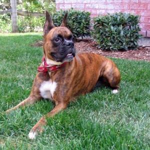 A relaxing spring morning