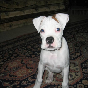 I'm sitting, now where's my cookie?