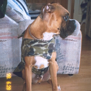 tank in his new camo coat