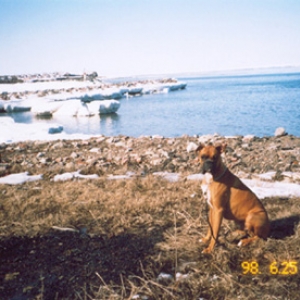 tank and the lighthouse