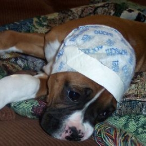 How do you like my scarf?