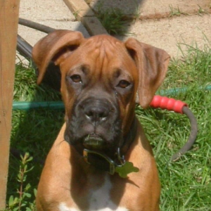 One_HOT_Lenard_Wiggins_006