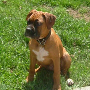 One_HOT_Lenard_Wiggins_003