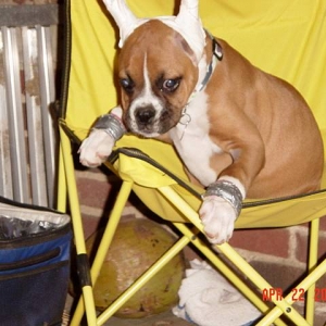 hanging out