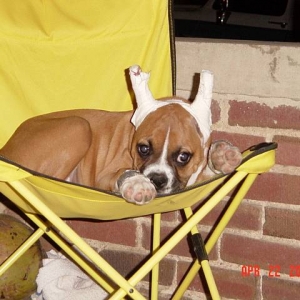 just  resting