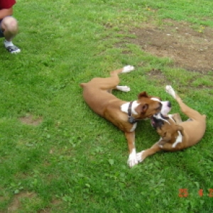 Tuff & Lexi giving kisses