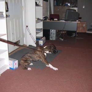 Prince trying to get at something