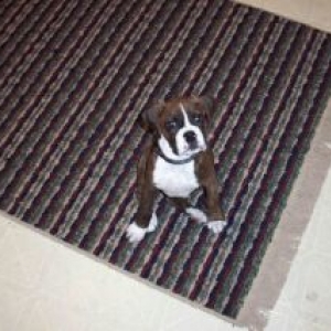 the baby!