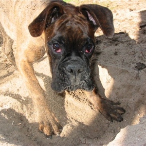 Keep on Diggin'