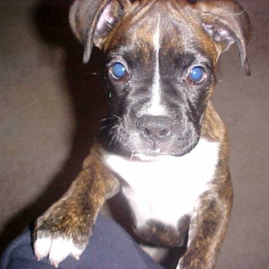 abey looking for a handout