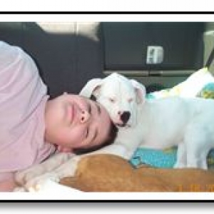 thomas_tank_and_honey_bears_butt