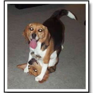 We're not boxers but you love us too