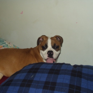 Jasmine at 3 1/2 months