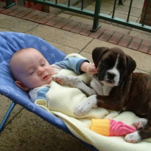 Ellie having a cuddle with my nephew