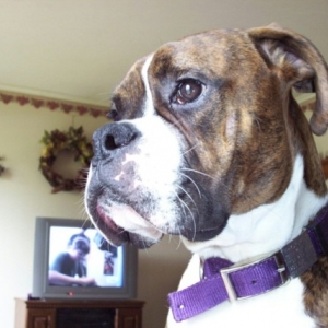 looking out the window