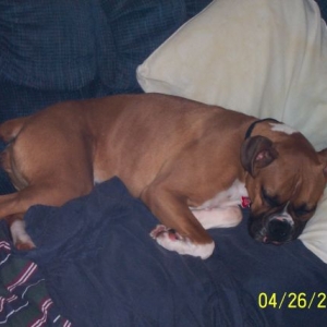 sleepyhead