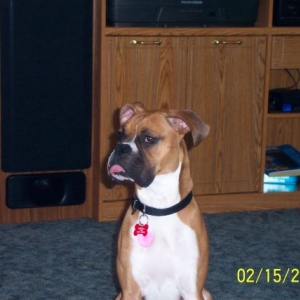 tongue!!!!!!!!!!!