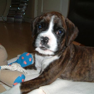 Ellie loves her photo being taken!